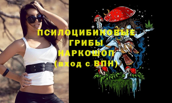 спайс Абаза