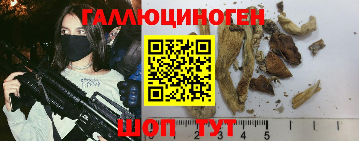 Галлюциногенные грибы GOLDEN TEACHER  Псилоцибиновые грибы прущие грибы  как найти наркотики  Вход с VPN  Рассказово 